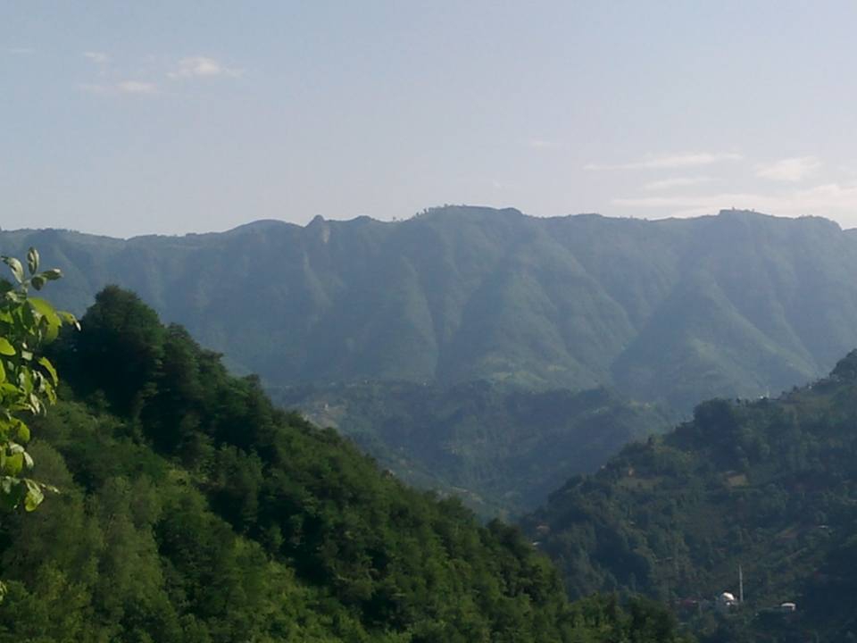 Çarşıbaşı Taşlıtepe Köyü Resimleri 3