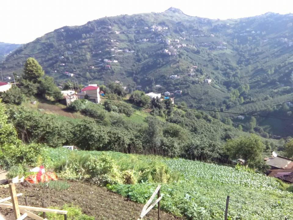 Çarşıbaşı Taşlıtepe Köyü Resimleri 4