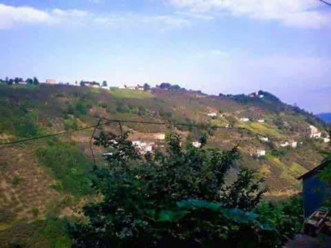 Çarşıbaşı Taşlıtepe Köyü Resimleri 5