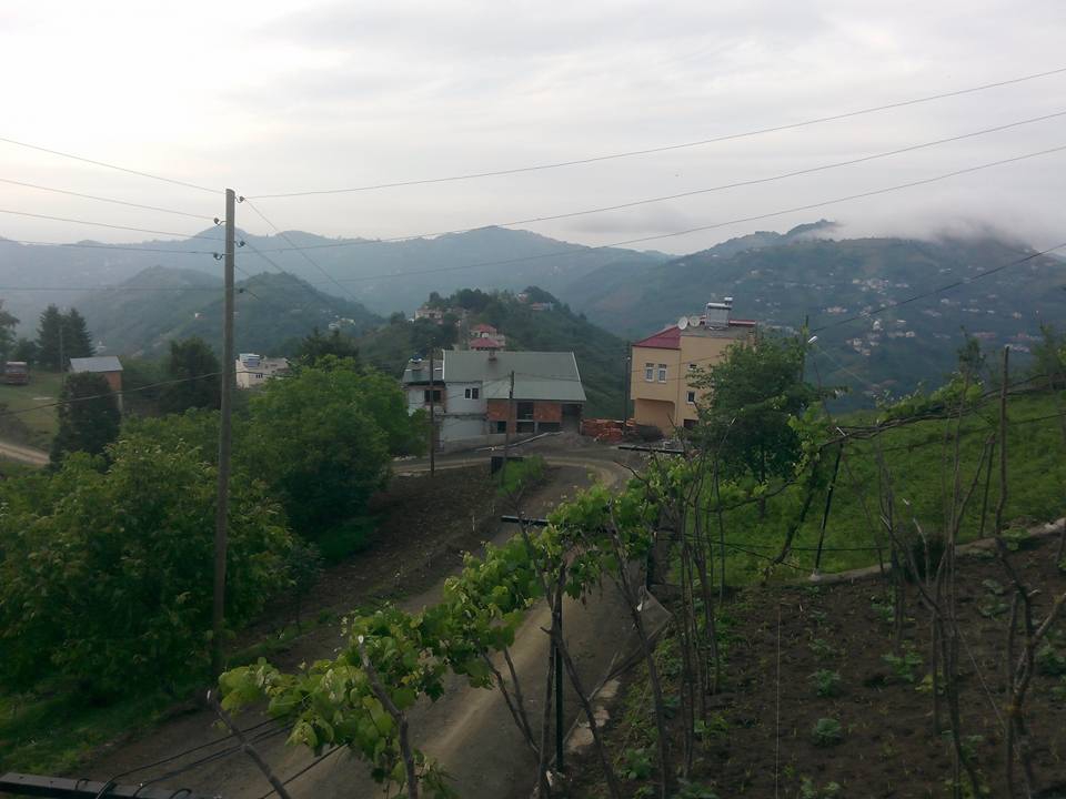 Çarşıbaşı Taşlıtepe Köyü Resimleri 7