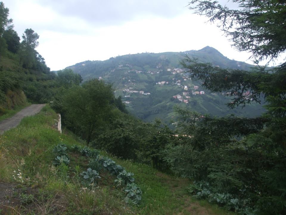 Çarşıbaşı Taşlıtepe Köyü Resimleri 8
