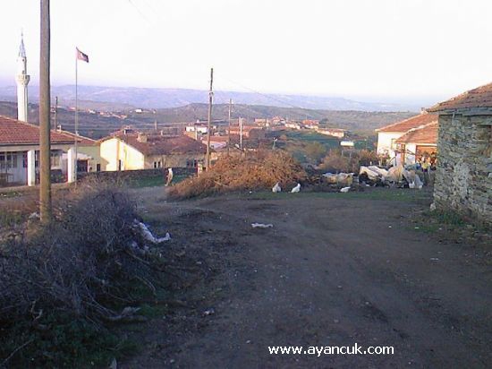 Eşme Poslu Köyü Resimleri 4