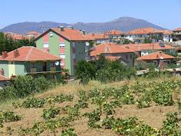 Eşme Poslu Köyü Resimleri 5