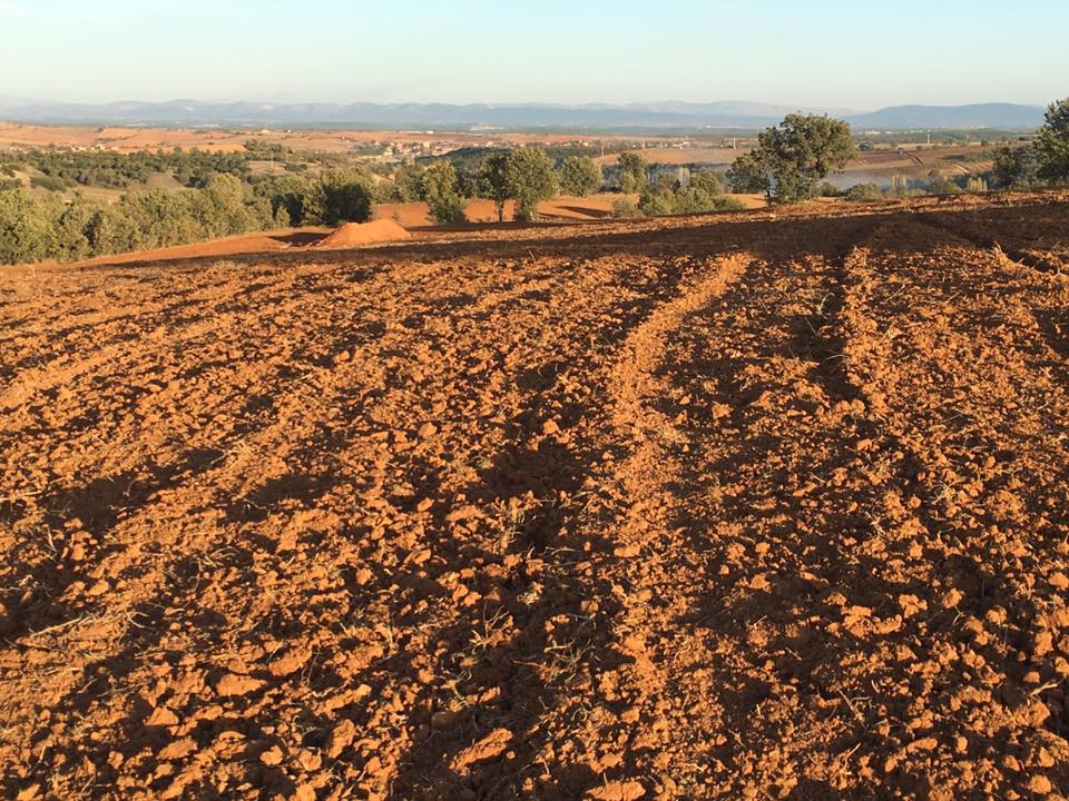 Eşme Şehitli Köyü Resimleri 4