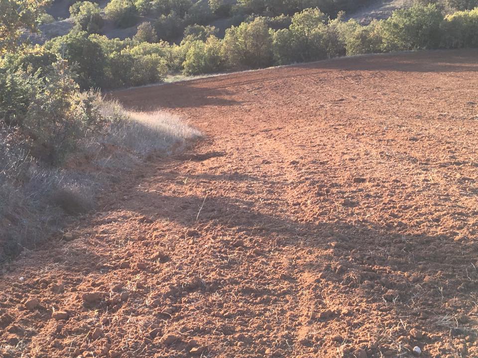 Eşme Şehitli Köyü Resimleri 5