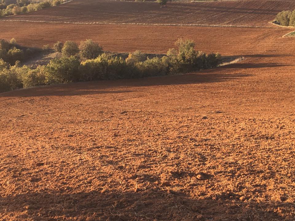 Eşme Şehitli Köyü Resimleri 6