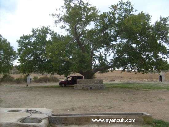 Eşme Şehitli Köyü Resimleri 7