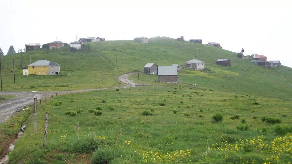 Çarşıbaşı Yavuz Köyü Resimleri 11