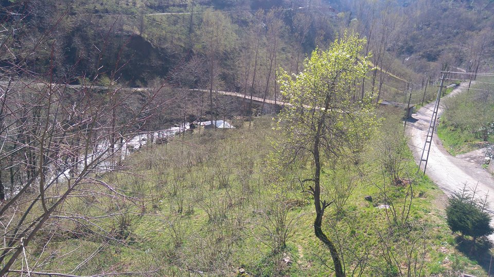 Çarşıbaşı Yavuz Köyü Resimleri 13