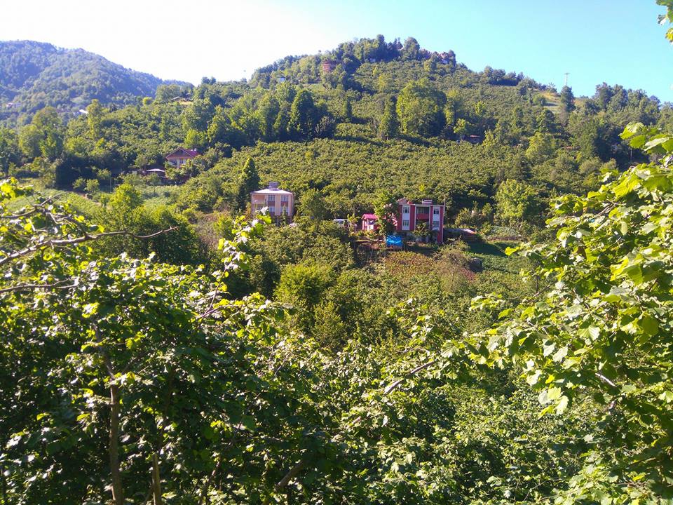 Çarşıbaşı Yavuz Köyü Resimleri 14