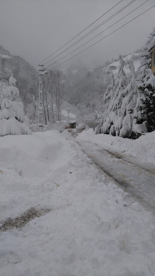 Çarşıbaşı Yavuz Köyü Resimleri 15
