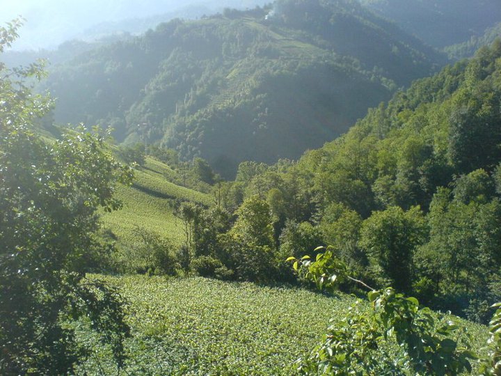 Çarşıbaşı Yavuz Köyü Resimleri 16