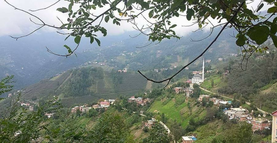 Çarşıbaşı Yavuz Köyü Resimleri 18