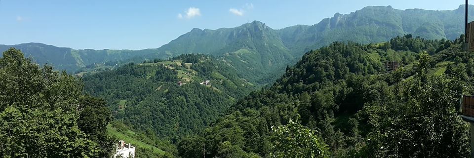 Çarşıbaşı Yavuz Köyü Resimleri 19