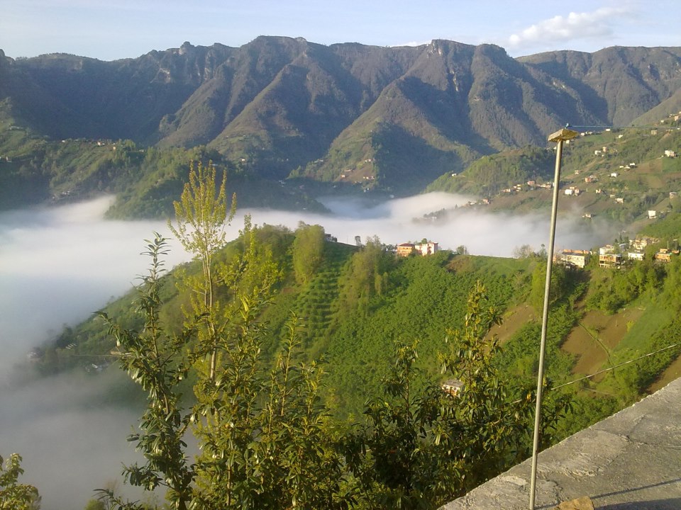 Çarşıbaşı Yavuz Köyü Resimleri 2