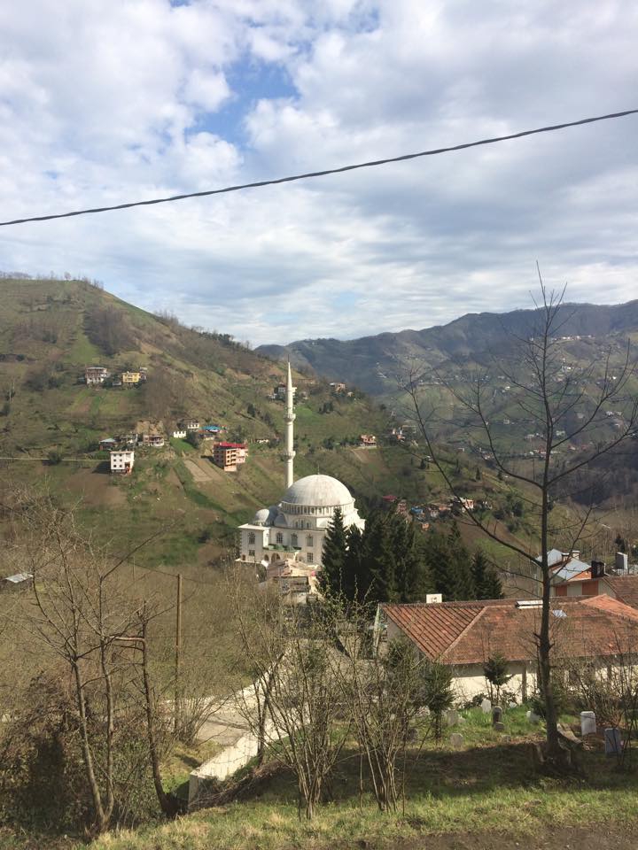 Çarşıbaşı Yavuz Köyü Resimleri 21