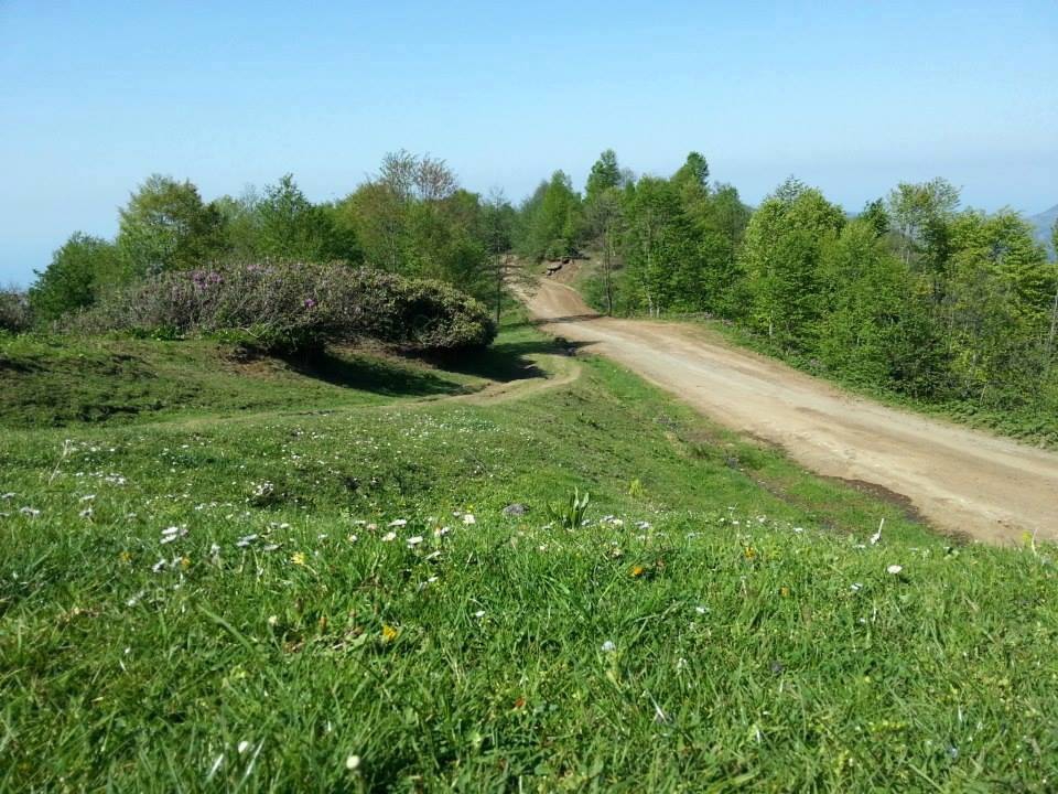 Çarşıbaşı Yavuz Köyü Resimleri 22
