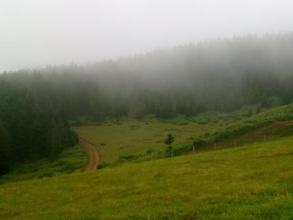 Çarşıbaşı Yavuz Köyü Resimleri 24