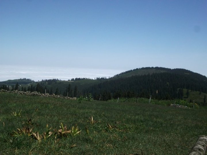 Çarşıbaşı Yavuz Köyü Resimleri 25