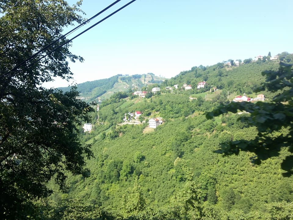 Çarşıbaşı Yavuz Köyü Resimleri 26