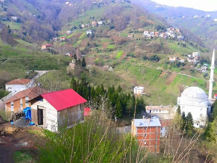 Çarşıbaşı Yavuz Köyü Resimleri 28