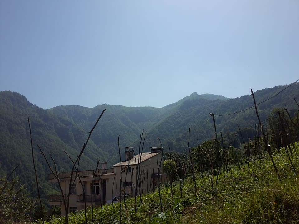 Çarşıbaşı Yavuz Köyü Resimleri 32