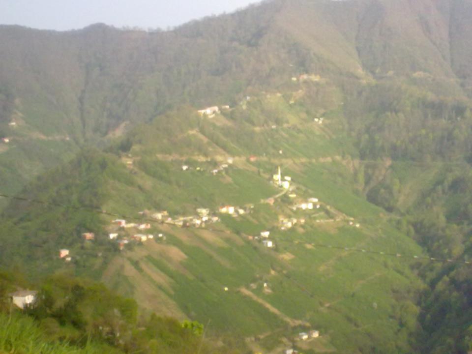 Çarşıbaşı Yavuz Köyü Resimleri 4