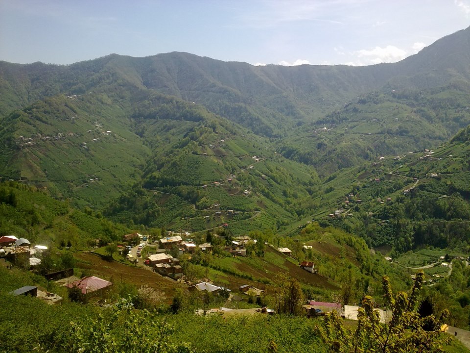 Çarşıbaşı Yavuz Köyü Resimleri 5