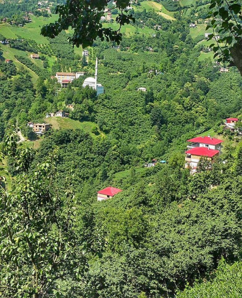 Çarşıbaşı Yavuz Köyü Resimleri 6