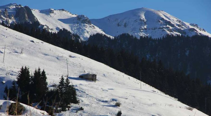 Çarşıbaşı Yavuz Köyü Resimleri 7