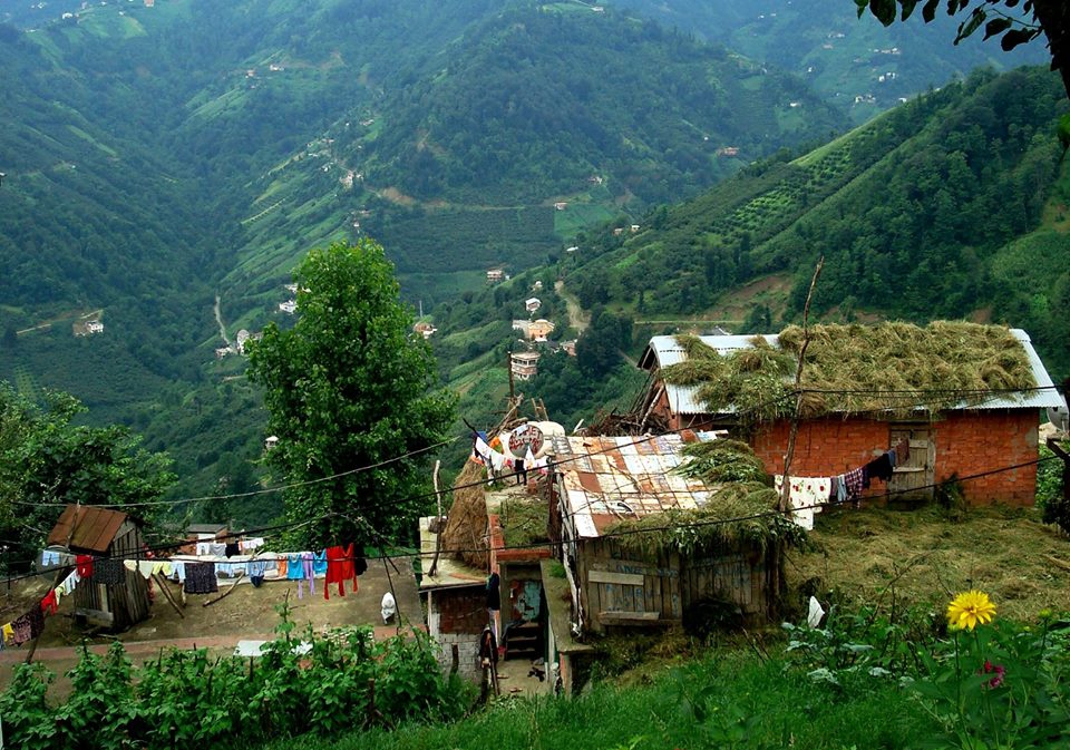 Çarşıbaşı Yavuz Köyü Resimleri 8