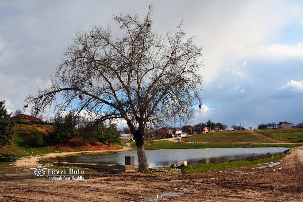 Karahallı Alfaklar Köyü Resimleri 12