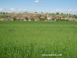 Karahallı Coğuplu Köyü Resimleri 4