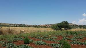 Karahallı Duraklı Köyü Resimleri 6