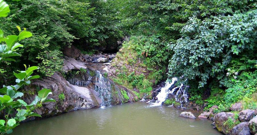 Çarşıbaşı Yeniköy Resimleri 1