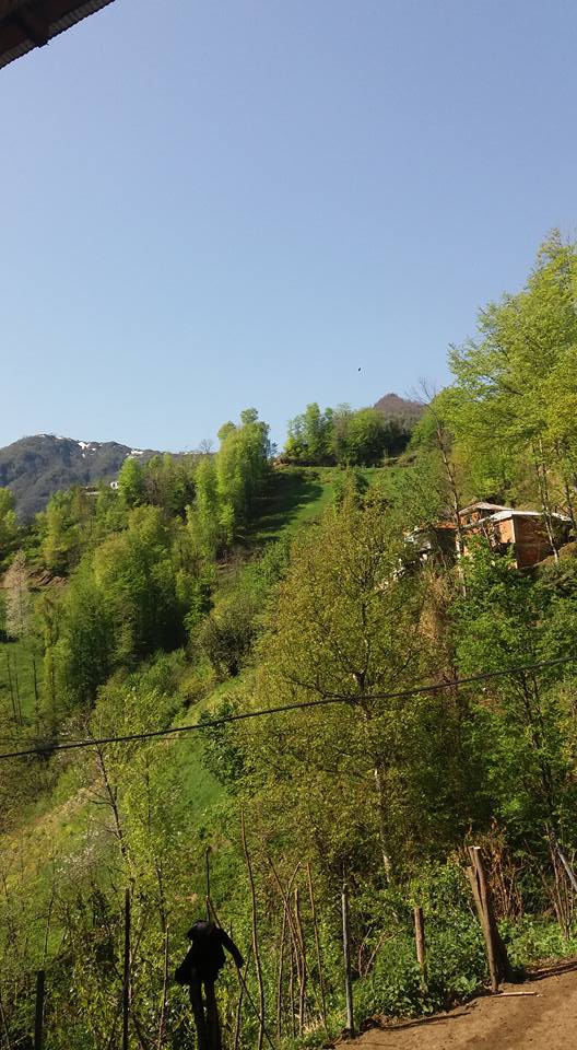 Çarşıbaşı Yeniköy Resimleri 10