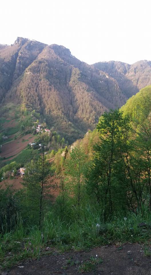 Çarşıbaşı Yeniköy Resimleri 11