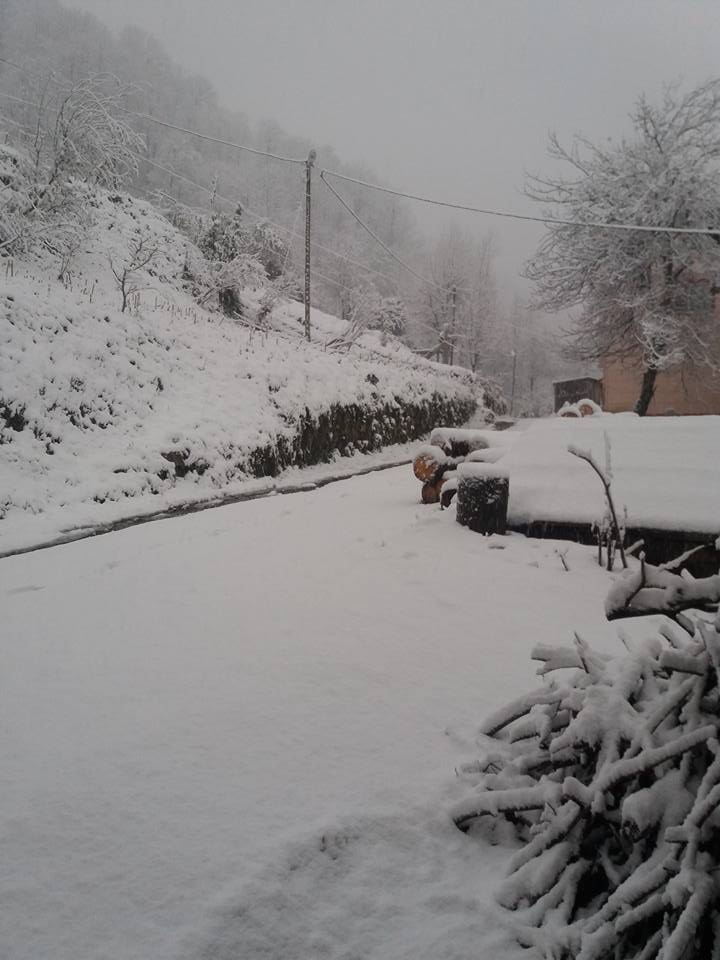 Çarşıbaşı Yeniköy Resimleri 17