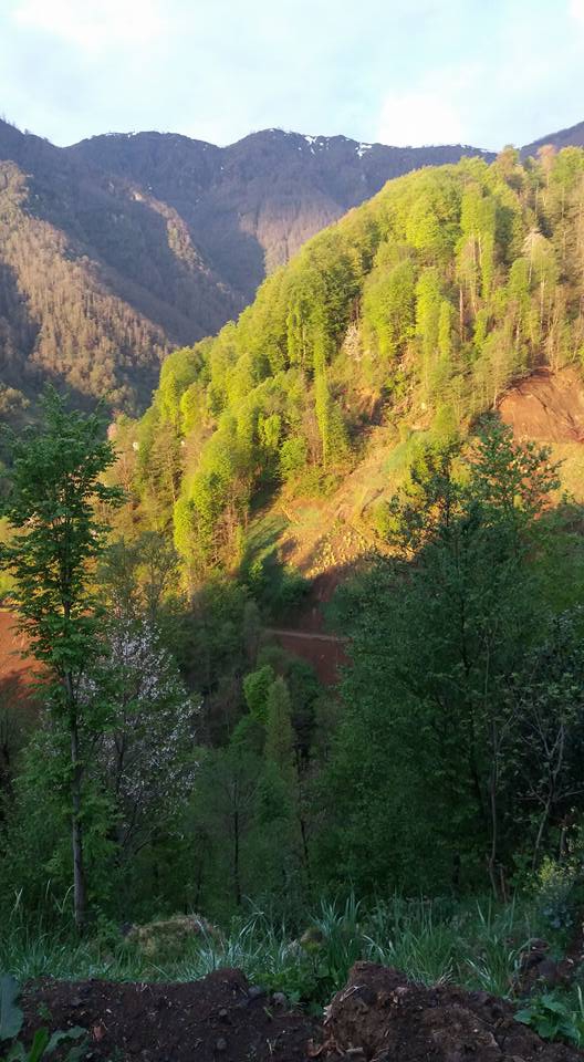 Çarşıbaşı Yeniköy Resimleri 18