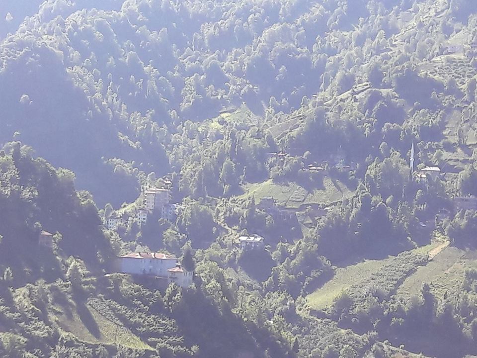 Çarşıbaşı Yeniköy Resimleri 2