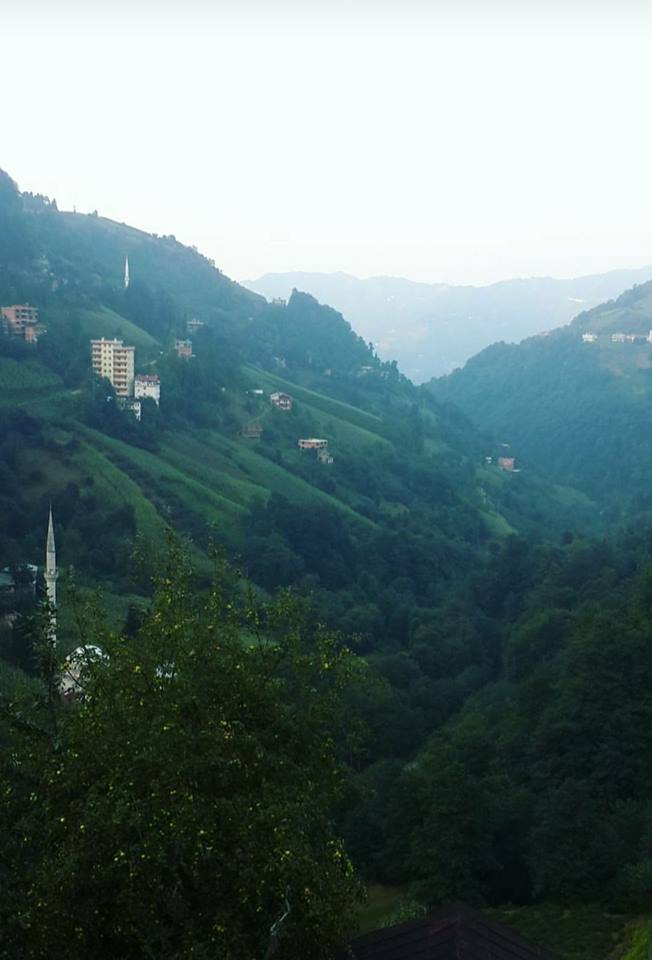 Çarşıbaşı Yeniköy Resimleri 3