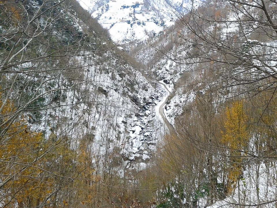 Çarşıbaşı Yeniköy Resimleri 4