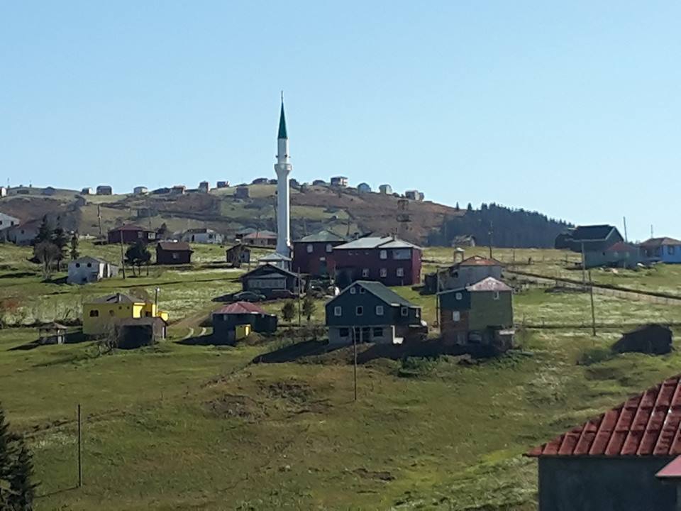 Çarşıbaşı Yeniköy Resimleri 5