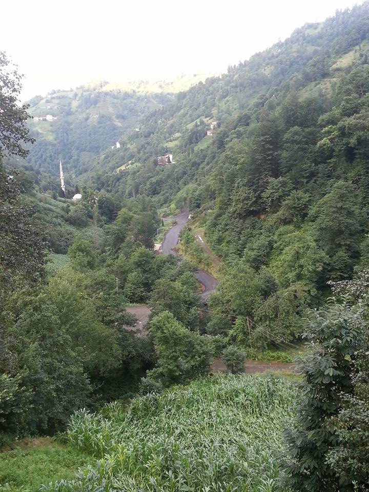 Çarşıbaşı Yeniköy Resimleri 6