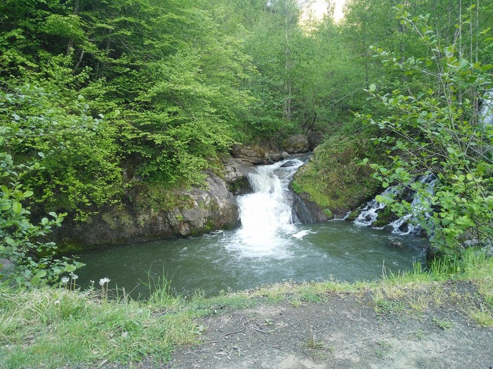 Çarşıbaşı Yeniköy Resimleri 7