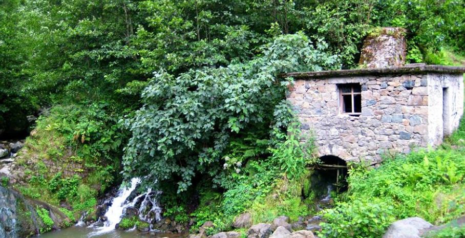 Çarşıbaşı Yeniköy Resimleri 8