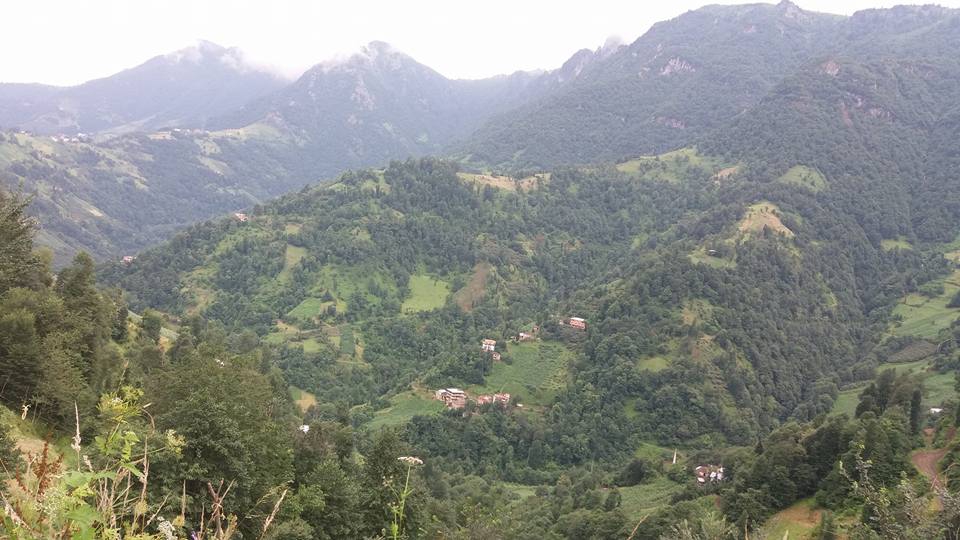 Çarşıbaşı Yeniköy Resimleri 9