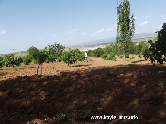 Sivaslı Budaklar Köyü Resimleri 5