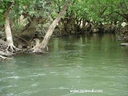 Sivaslı Samatlar Köyü Resimleri 2