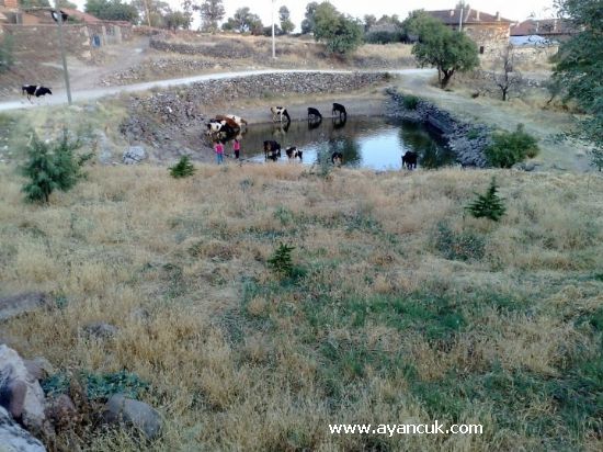 Ulubey Çardak Köyü Resimleri 4